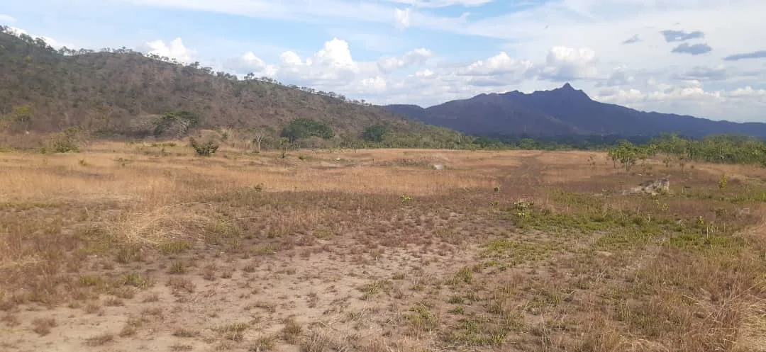Terreno en Venta en San Diego, Edo. Carabobo — USD 18
