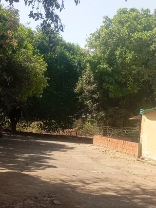 Terreno en Flor Amarillo