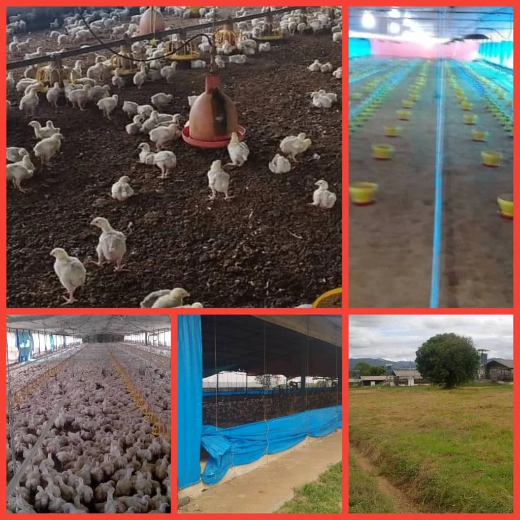 Terreno en Venta en Tinaquillo 340000m² — USD 3,000,000