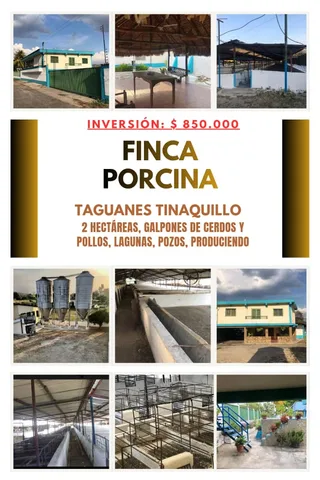 Terreno en Taguanes Tinaquillo