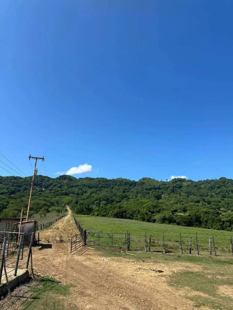 Terreno en Venta en Mirimire, Estado Falcón 9410000m² — Precio a consultar