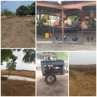 Terreno en Guárico Municipio Ortiz