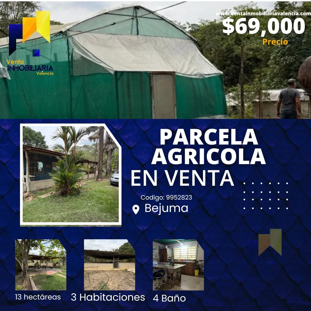 Terreno en Venta en Sector Canaposare, Tocuyito — 3 hab 130000m² — USD 69,000