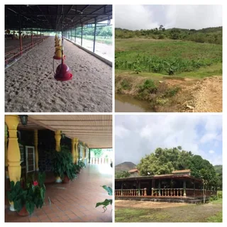 Terreno en Tinaquillo, Estado Cojedes