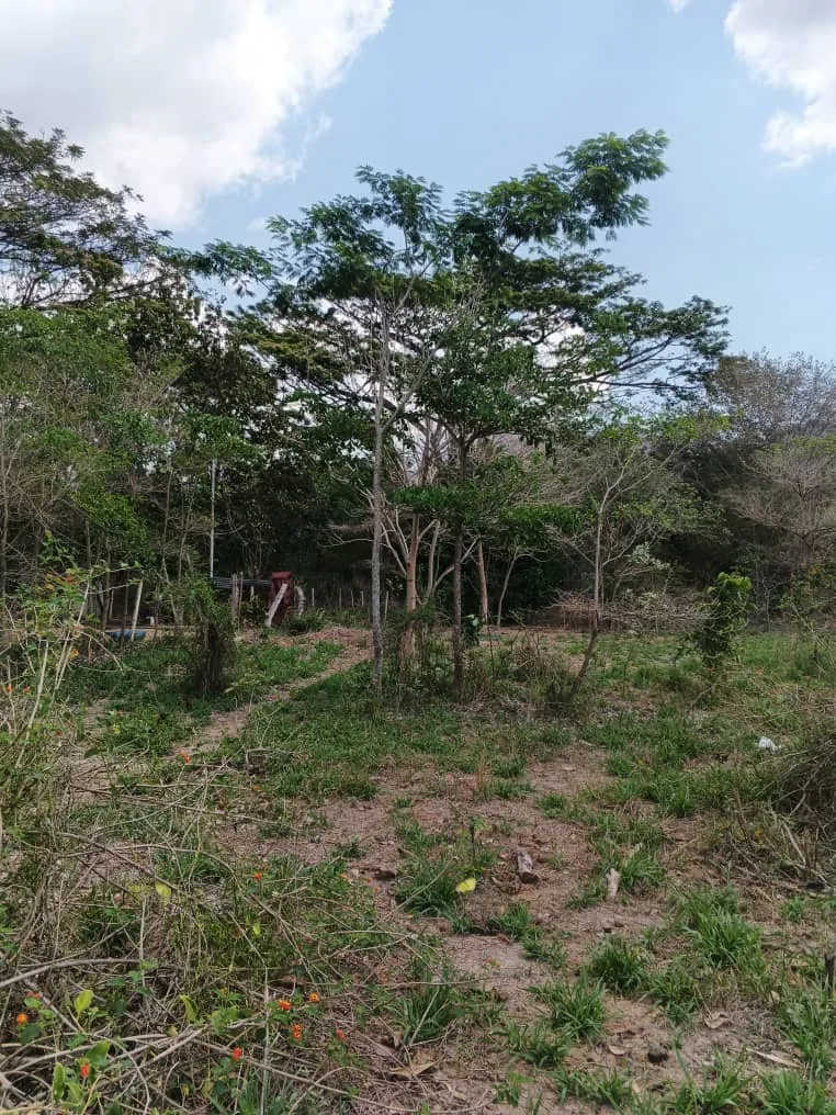 Terreno en Venta en Sector Los Mangos, Valle de Oro, San Diego, Edo. Carabobo — 4 hab 3243m² — USD 85,000