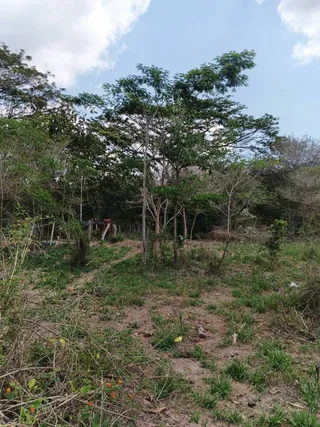 Terreno en Sector Los Mangos, Valle de Oro, San Diego, Edo. Carabobo
