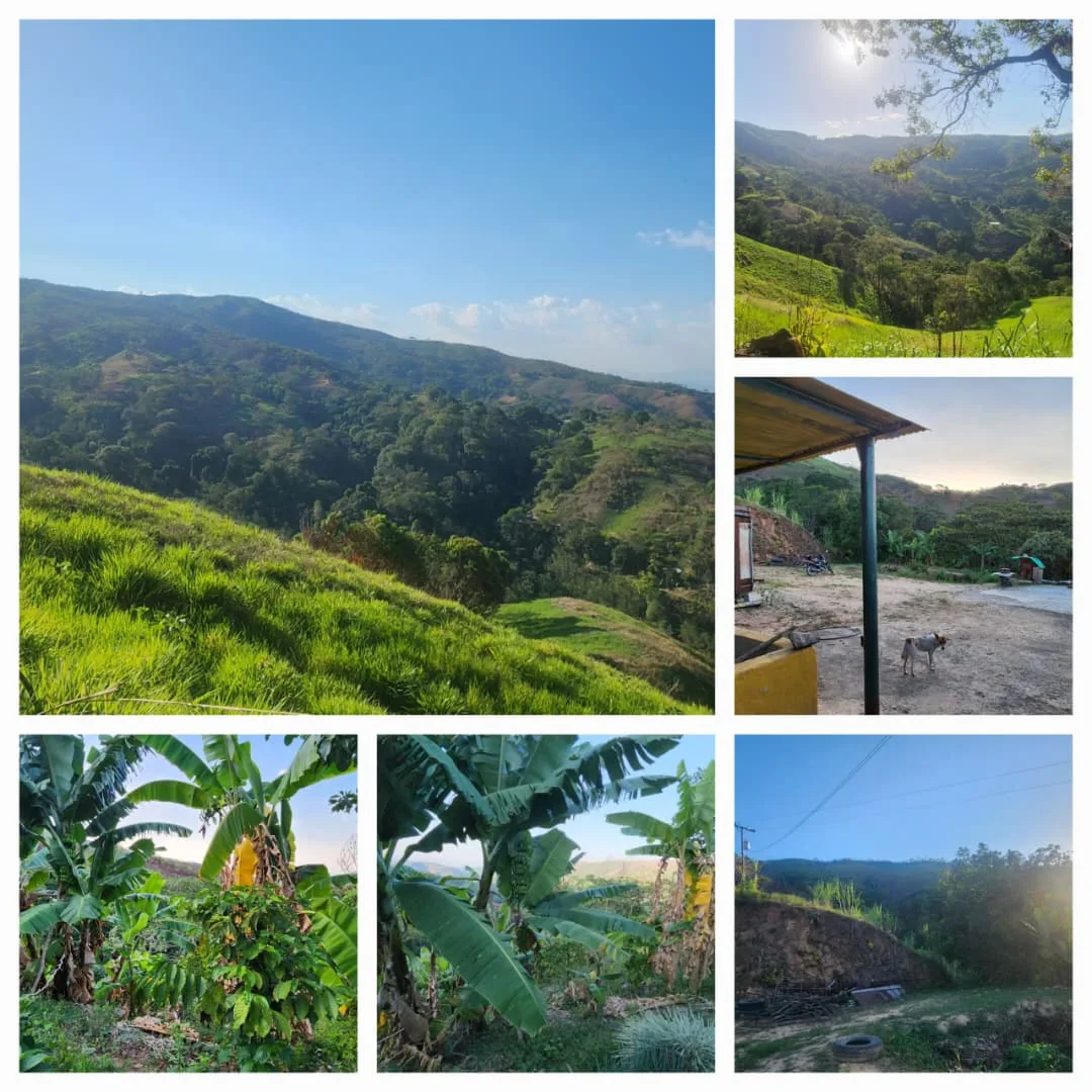 Terreno en Venta en Estado Carabobo 150000m² — USD 45,000