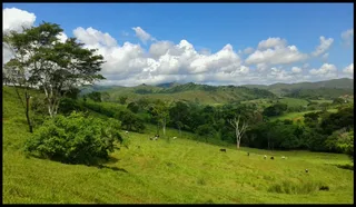 Terreno en Miranda- edo. Carabobo