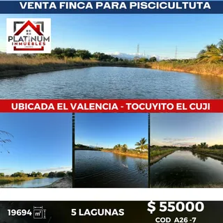 Terreno en Tocuyito, Sector El Cují, Estado Carabobo