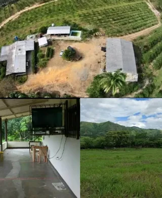 Terreno en Montalbán y Nirgua