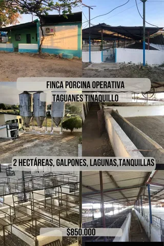 Terreno en Taguanes, Tinaquillo