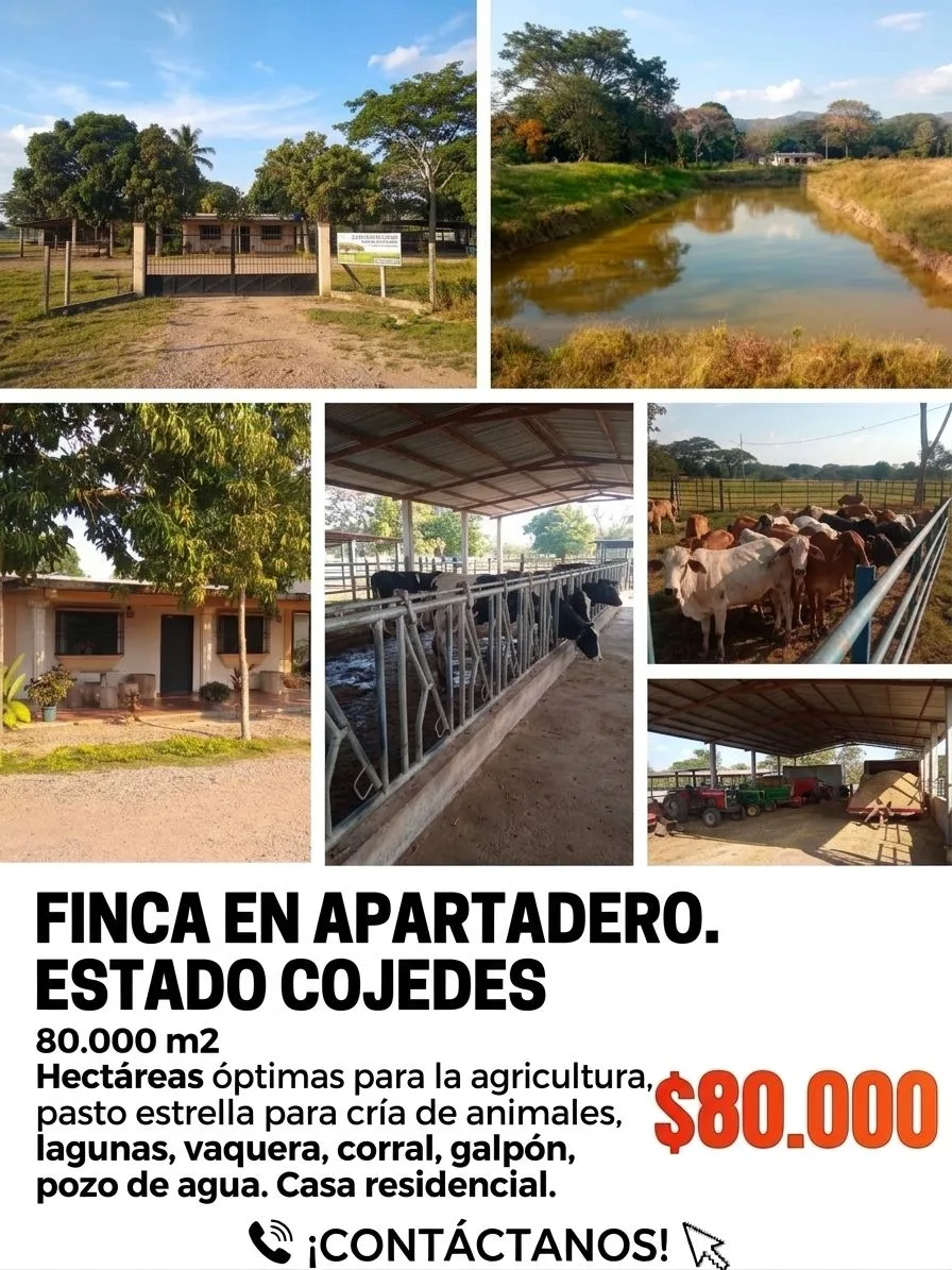Terreno en Venta en Apartaderos, Estado Cojedes — 4 hab 80000m² — USD 80,000