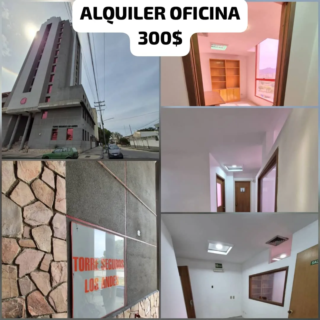 Oficina en Alquiler en TORRE SEGUROS LOS ANDES — 1 hab — USD 300