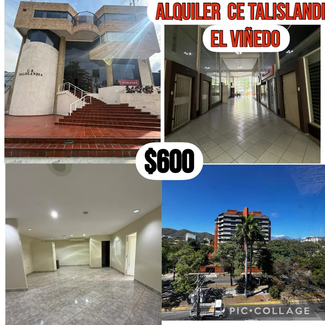 Oficina en Alquiler en Urbanización El Viñedo 80m² — USD 600