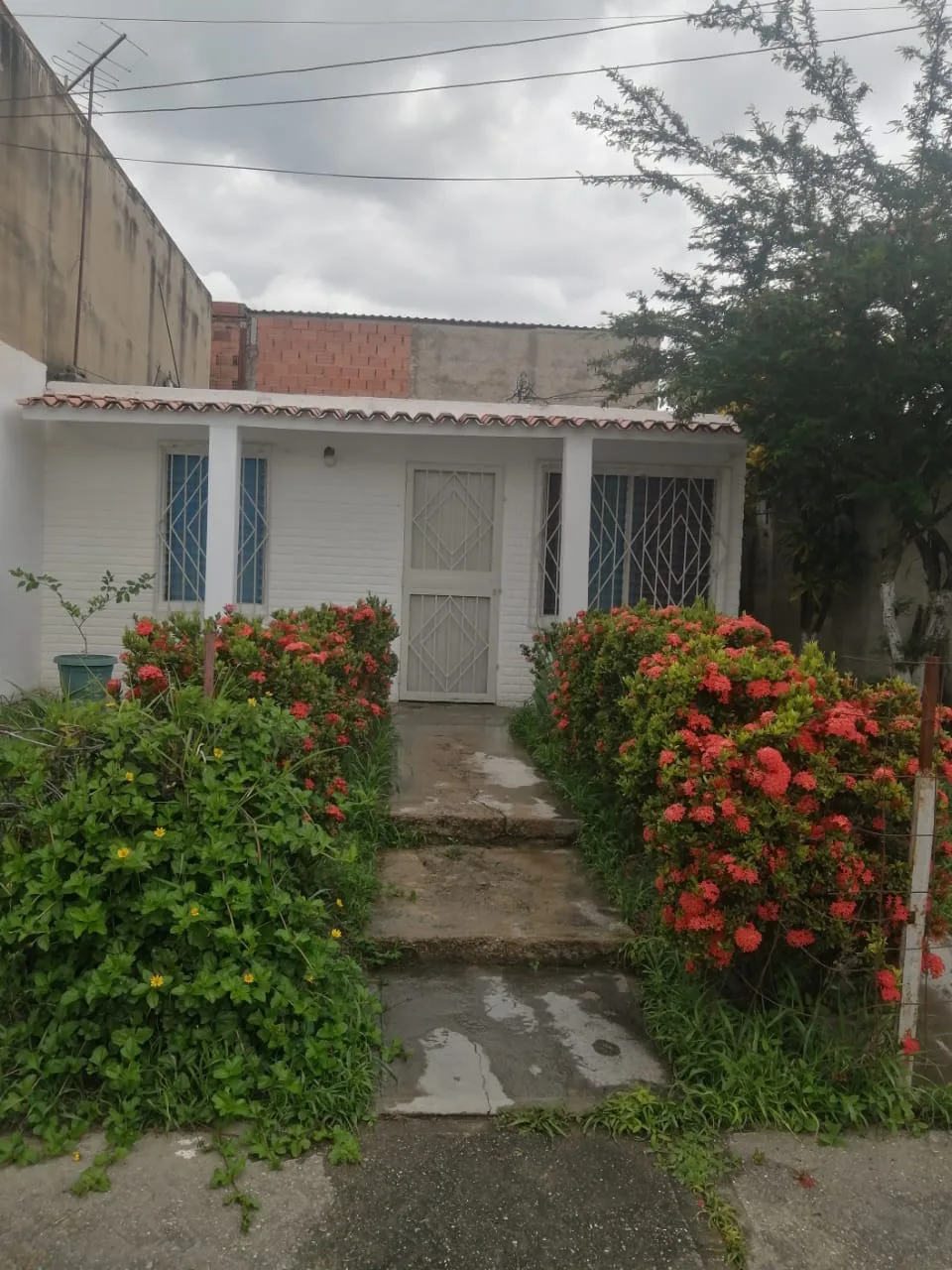 Casa en Venta en Urb Los mangos — 2 hab — Precio a consultar