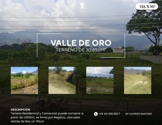 Terreno en Valle de Oro