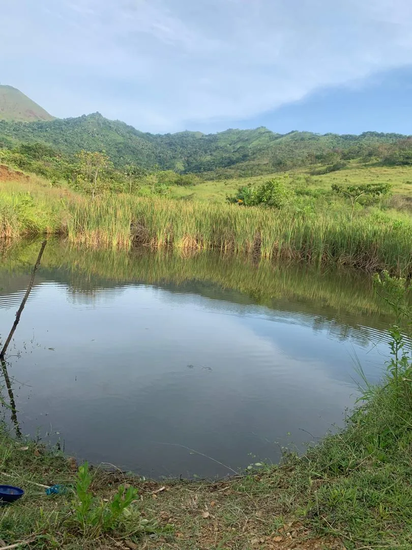 Terreno en Venta en Cojedes — 11 hab 1050000m² — USD 450,000