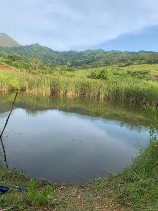 Terreno en Cojedes