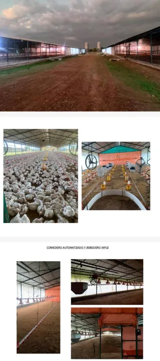 Terreno en CALABOZO, MUNICIPIO FRANCISCO DE MIRANDA, GUARICO