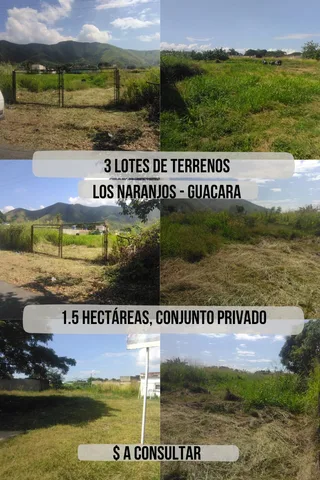Terreno en guacara, sector los naranjos