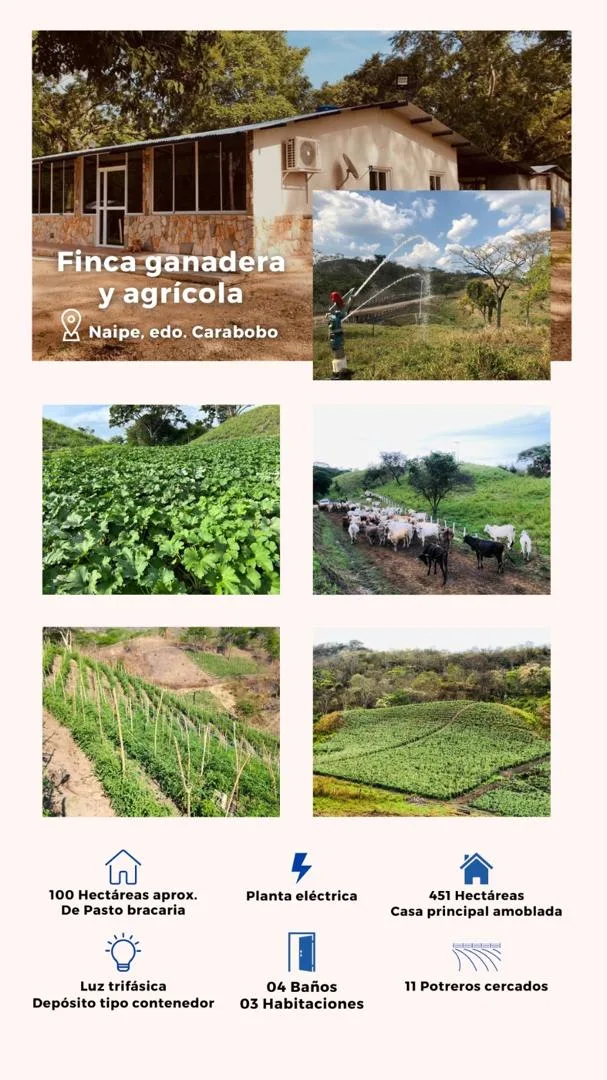 Terreno en Venta en Naipe, Carabobo — 3 hab 4510000m² — Precio a consultar