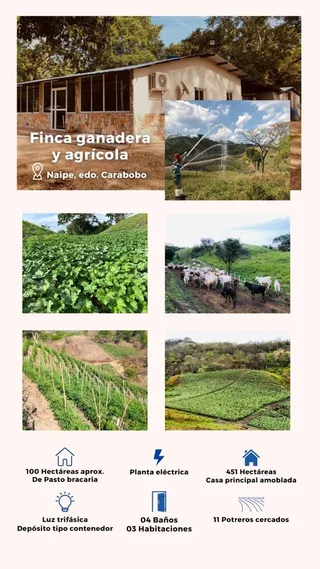 Terreno en Naipe, Carabobo