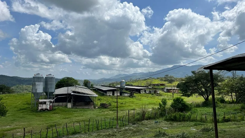 Terreno en Venta en Agua Blanca. Sector Cogollal, Municipio Carlos Arvelo 116200m² — USD 150,000