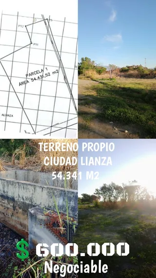 Terreno en CIUDAD LIANZA, al lado del estadio Alfredo Pedrique