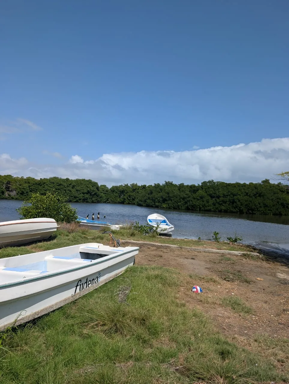Terreno en Venta en Chichiriviche, Edo. Falcón, Playa Sur 5000m² — USD 150,000