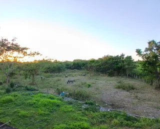 Terreno en Yaracal, Estado Falcón
