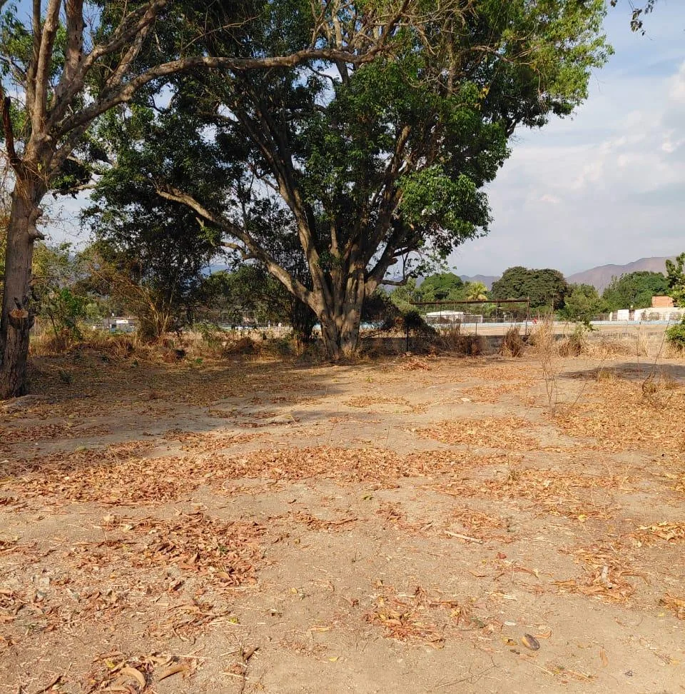 Terreno en Venta en Yagua, Guacara - Carabobo 1350m² — USD 12,000