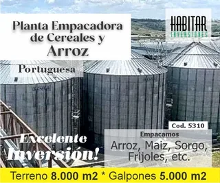 Local en Acarigua – Portuguesa
