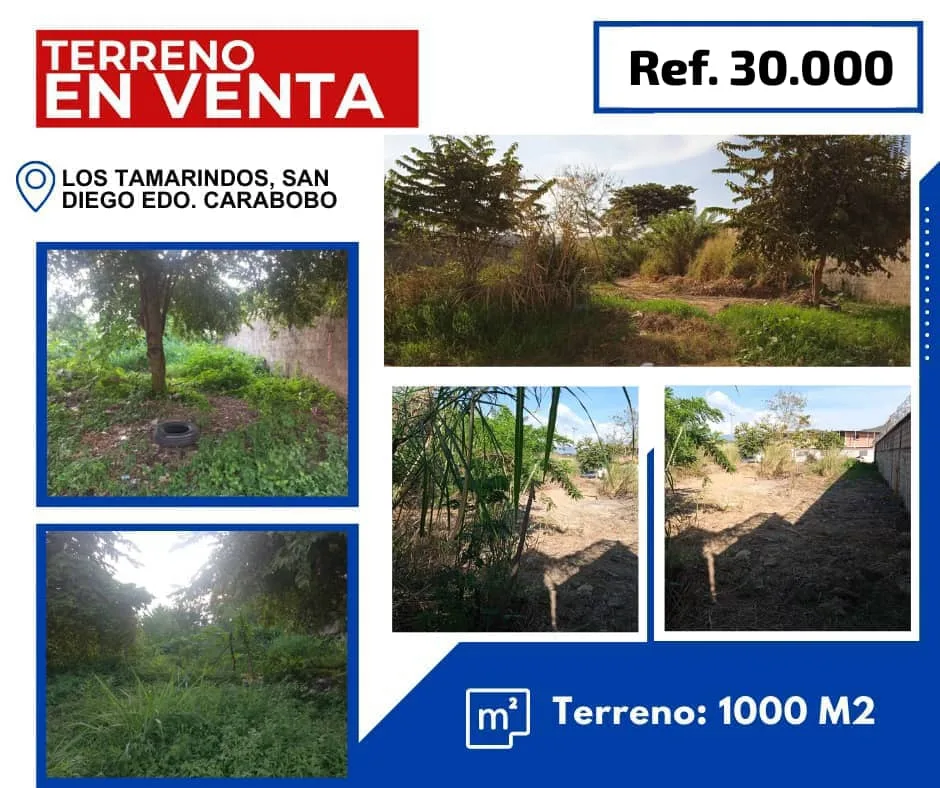 Terreno en Venta en Los Tamarindos 1000m² — USD 30,000