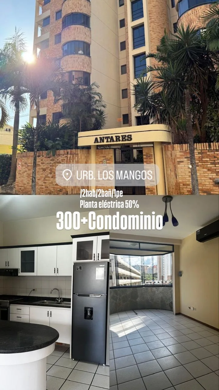 Apartamento en Alquiler en Urb. Los Mangos, Residencias Antares — 2 hab — USD 300