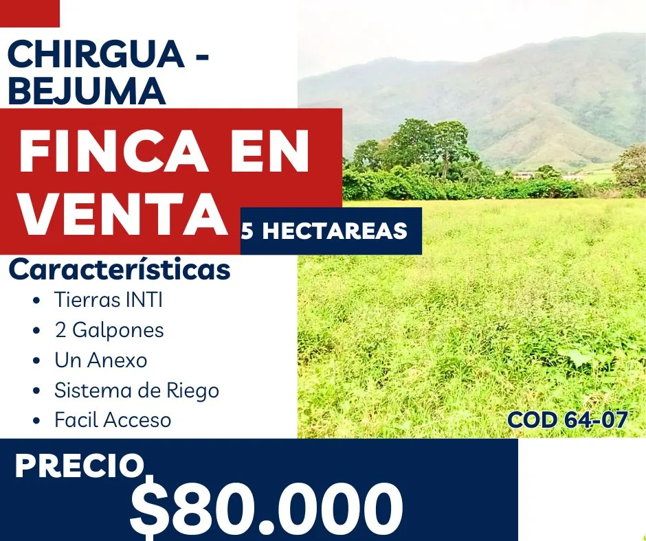 Terreno en Venta en Chirgua 50000m² — USD 80,000