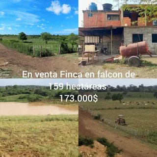 Terreno en Falcón