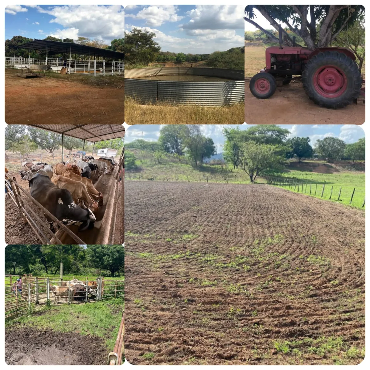 Terreno en Venta en San Carlos Edo Cojedes — 3 hab 410000m² — USD 95,000