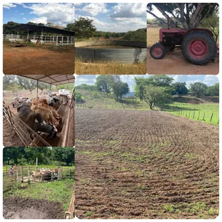 Terreno en San Carlos Edo Cojedes