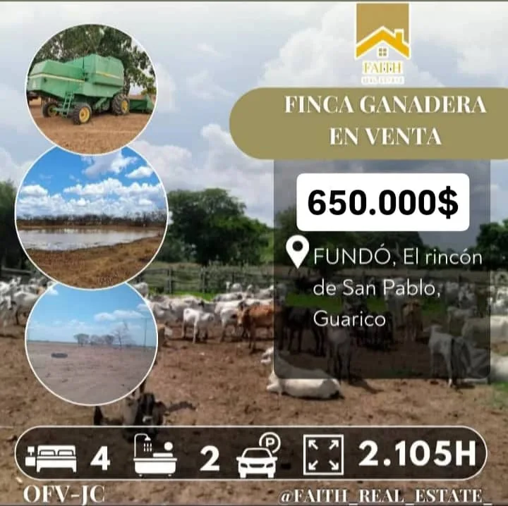 Terreno en Venta en Municipio Ortiz, Guarico 2105m² — USD 650,000