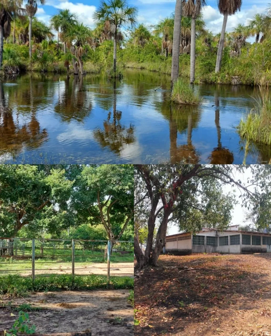 Terreno en Venta en null 530000000m² — Precio a consultar