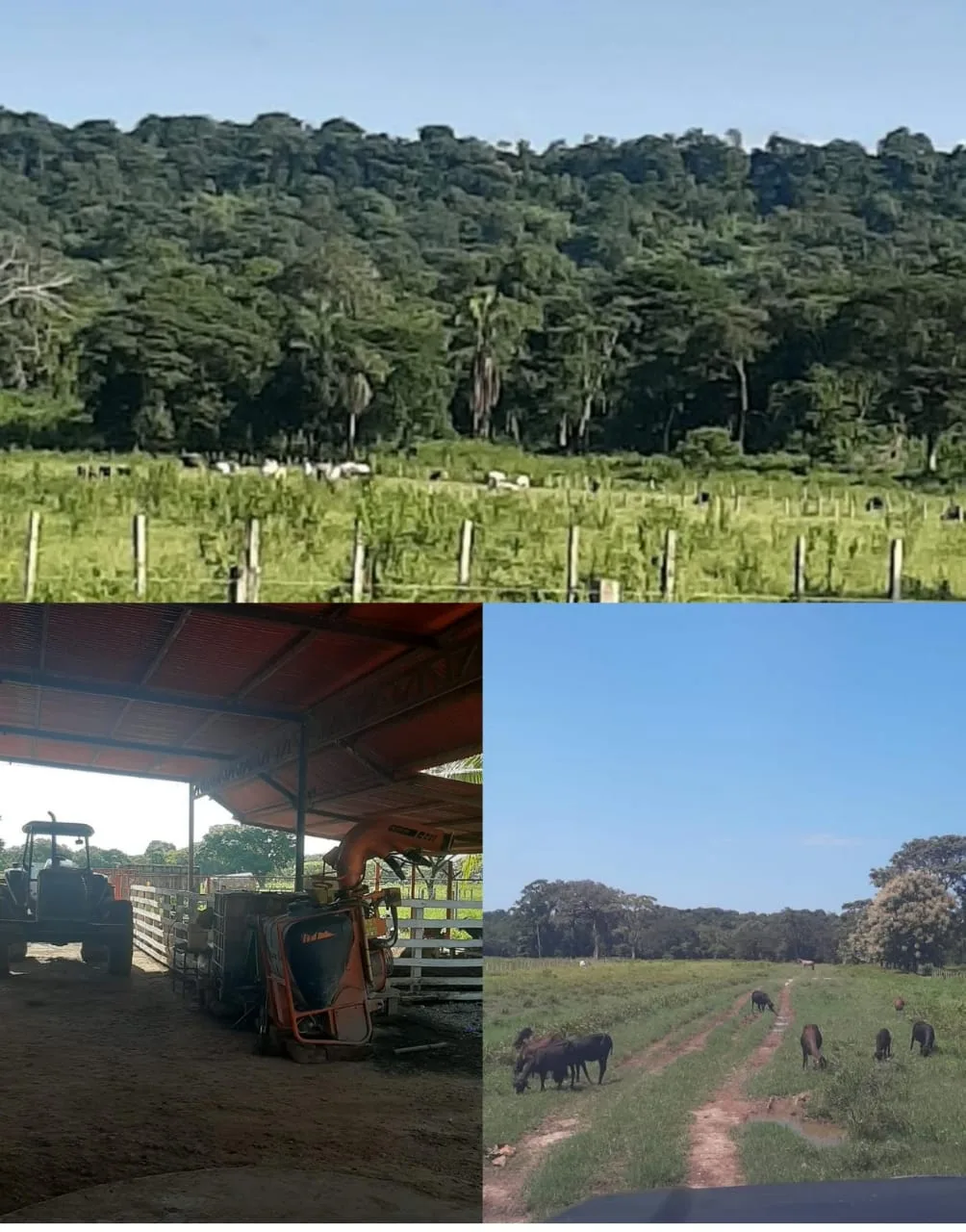 Terreno en Venta en Portuguesa 32000000m² — Precio a consultar