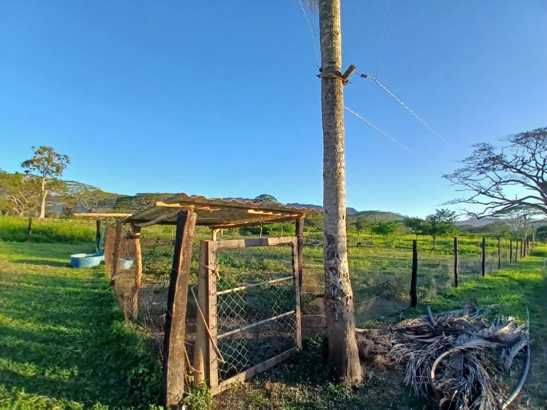 Casa en Venta en Yaracal, Estado Falcón — 5 hab 305000m² — USD 150,000