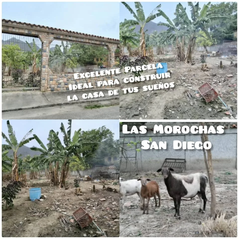 Terreno en Venta en Las Morochas IV, San Diego 1000m² — USD 60,000