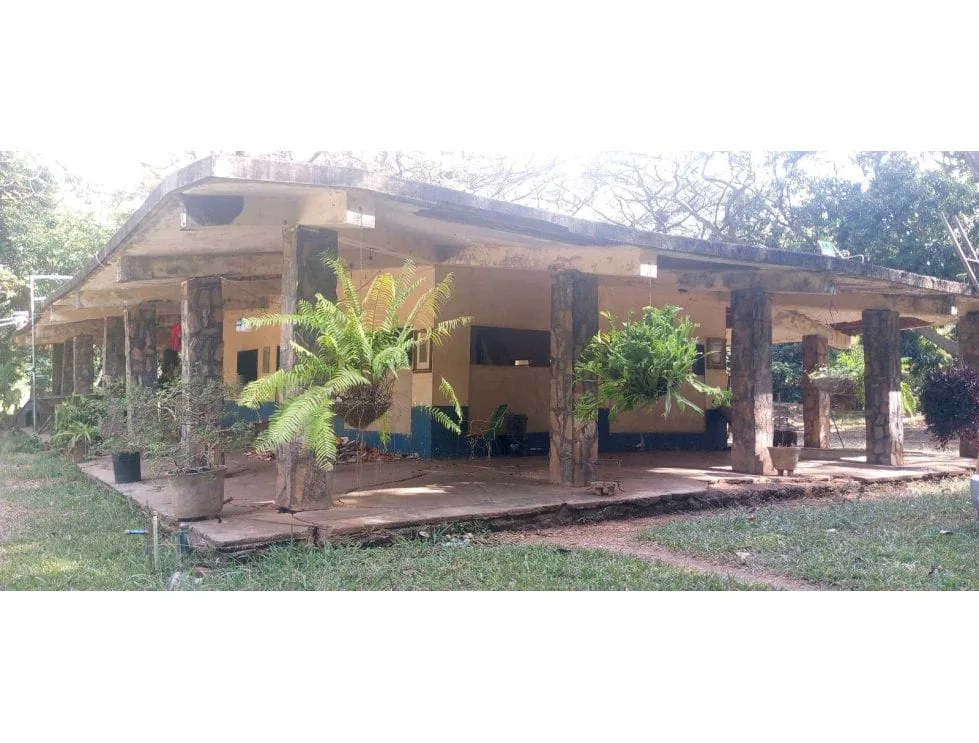 Terreno en Venta en Tinaquillo — 2 hab 250000m² — Precio a consultar