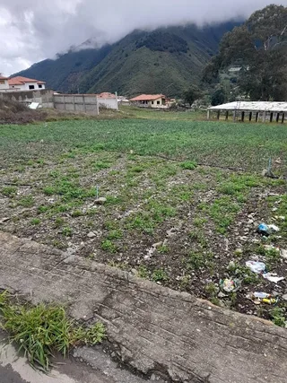 Terreno en los Barbechos, Bailadores, Municipio Rivas Dávila, Mérida
