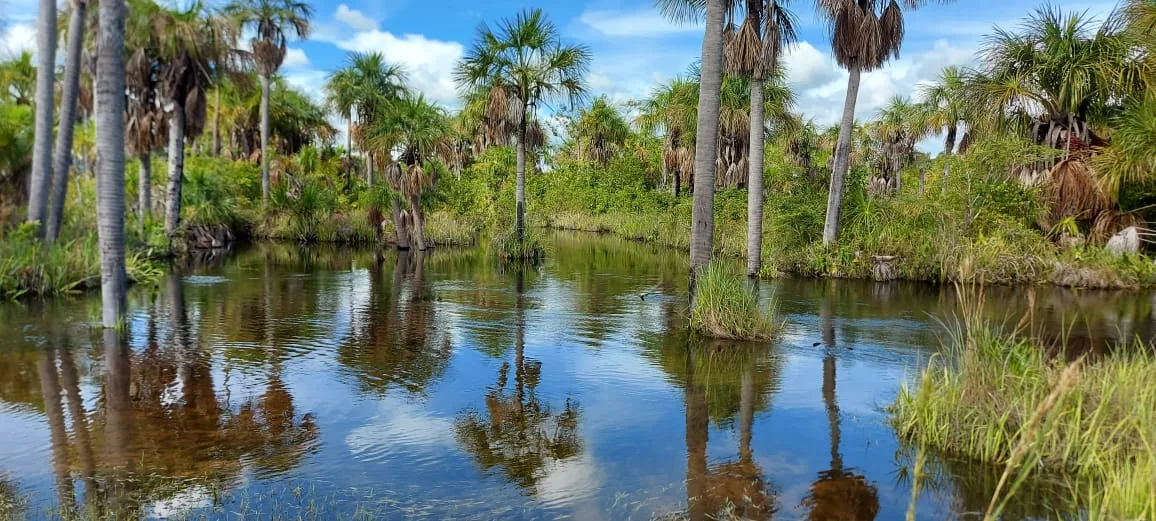 Terreno en Venta en Anzoátegui 530000000m² — Precio a consultar