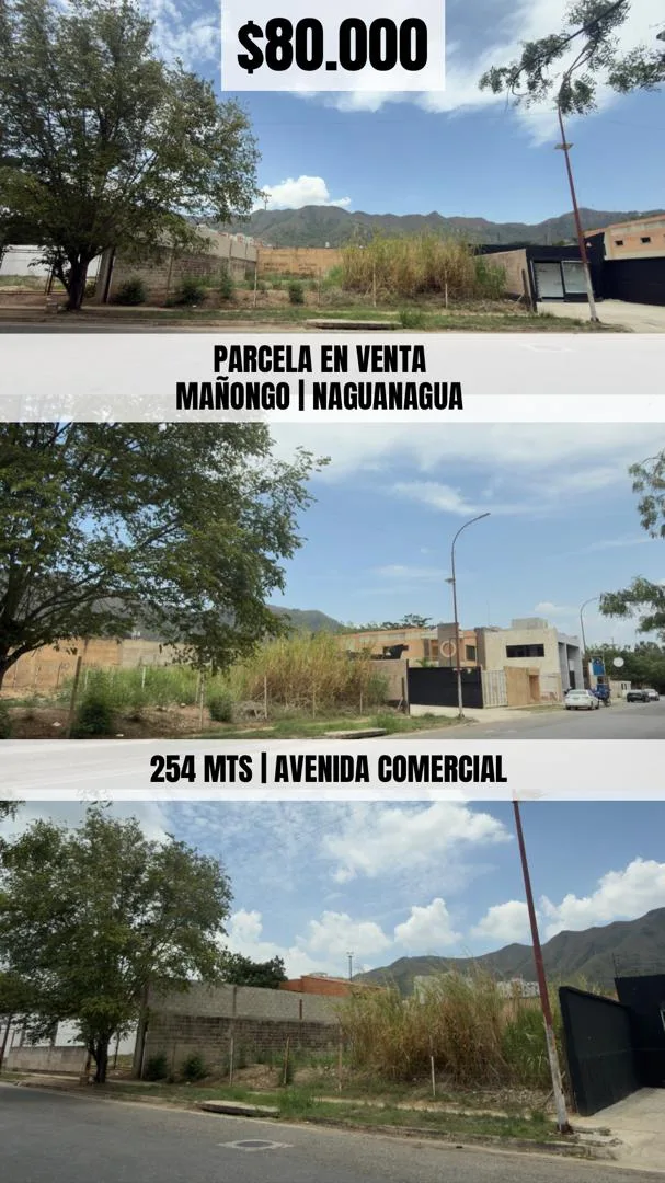 Terreno en Venta en Mañongo, Naguanagua 254m² — USD 80,000