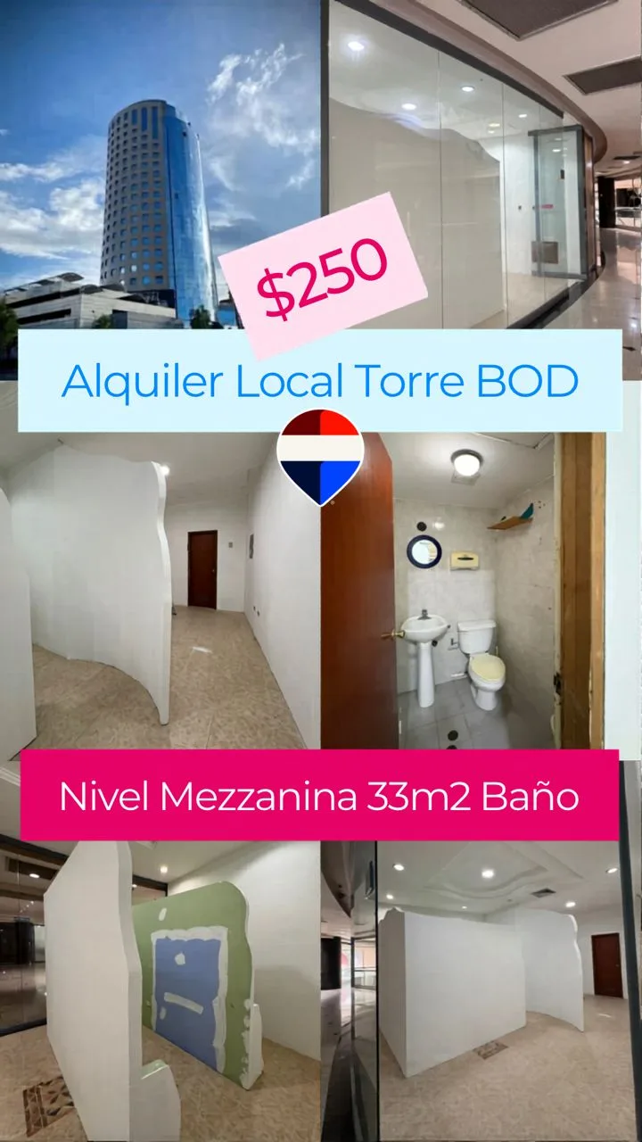 Local en Alquiler en Torre BOD 33m² — USD 250