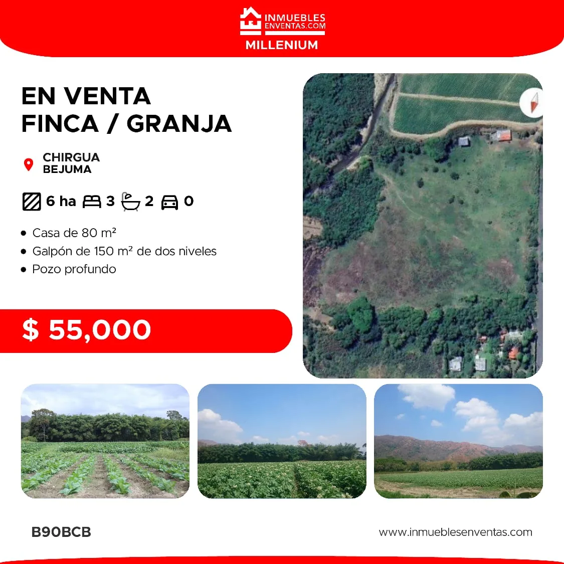Terreno en Venta en Chirgua (Bejuma) — 3 hab 56000m² — USD 55,000
