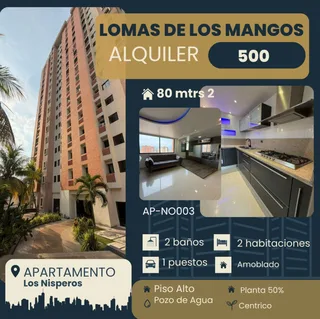 Apartamento en Lomas de los Mangos